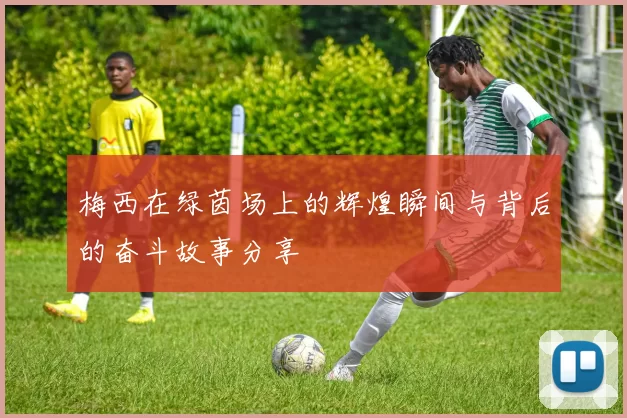 梅西在绿茵场上的辉煌瞬间与背后的奋斗故事分享