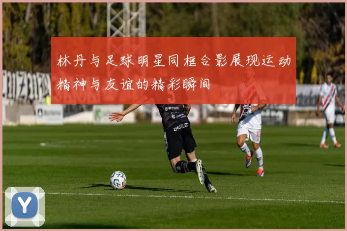 林丹与足球明星同框合影展现运动精神与友谊的精彩瞬间
