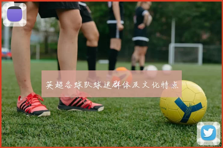 英超各球队球迷群体及文化特点