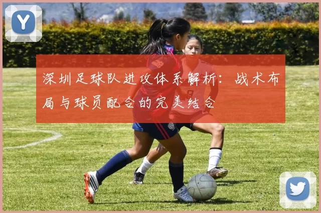 深圳足球队进攻体系解析：战术布局与球员配合的完美结合
