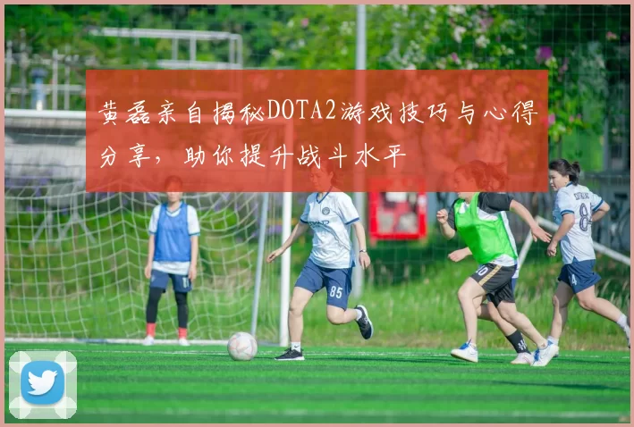 黄磊亲自揭秘DOTA2游戏技巧与心得分享，助你提升战斗水平
