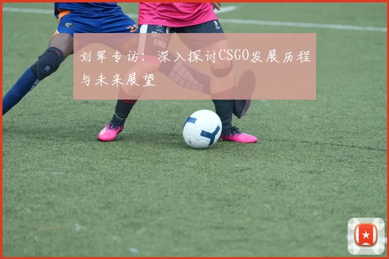 刘军专访：深入探讨CSGO发展历程与未来展望