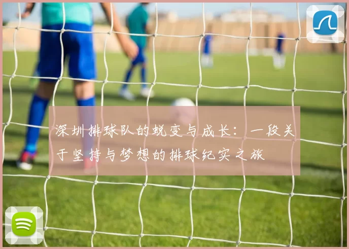 深圳排球队的蜕变与成长：一段关于坚持与梦想的排球纪实之旅