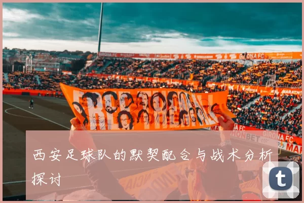 西安足球队的默契配合与战术分析探讨