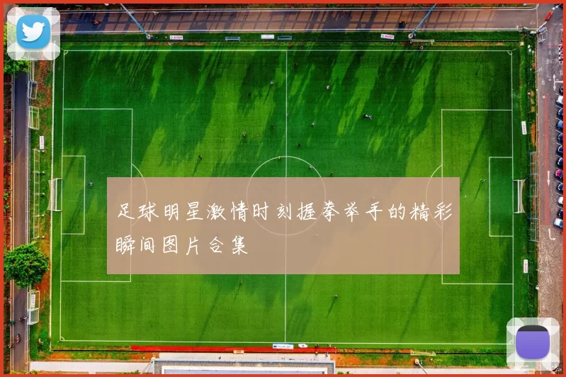 足球明星激情时刻握拳举手的精彩瞬间图片合集