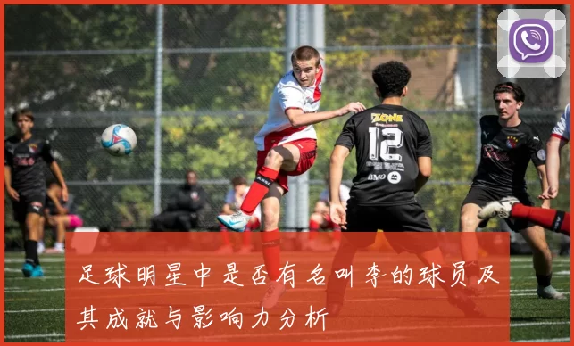 足球明星中是否有名叫李的球员及其成就与影响力分析