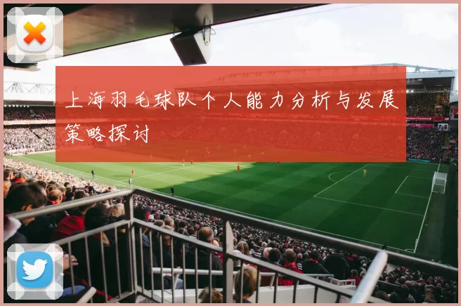 上海羽毛球队个人能力分析与发展策略探讨