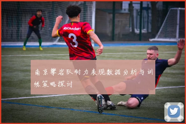 南京攀岩队耐力表现数据分析与训练策略探讨