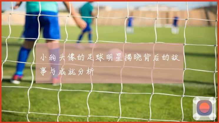 小狗头像的足球明星揭晓背后的故事与成就分析